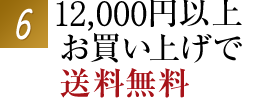 11,000円以上お買い上げで送料無料