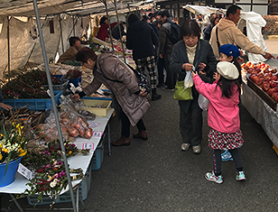 陣屋朝市